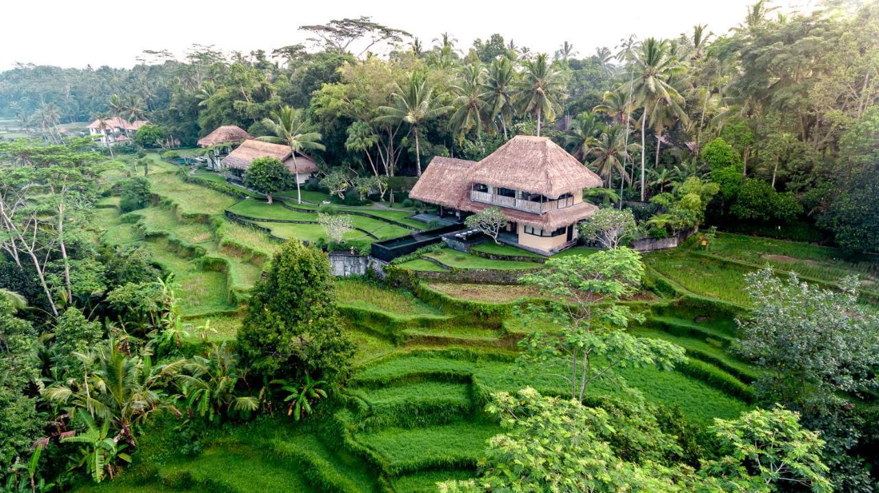 Villa Kelusa Ubud Zewnętrze zdjęcie