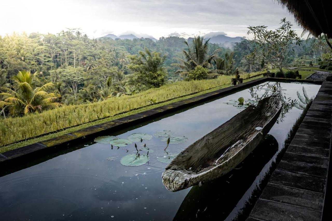 Villa Kelusa Ubud Zewnętrze zdjęcie