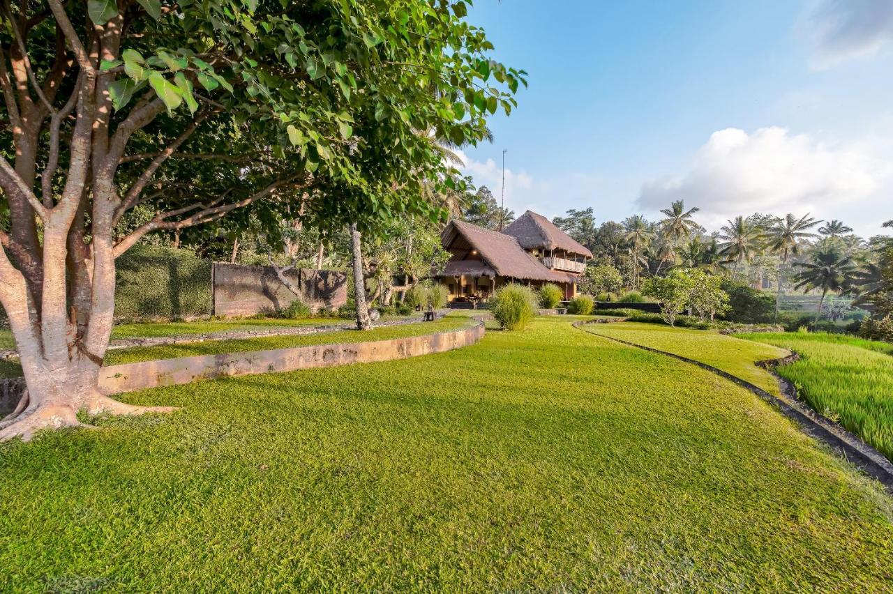 Villa Kelusa Ubud Zewnętrze zdjęcie
