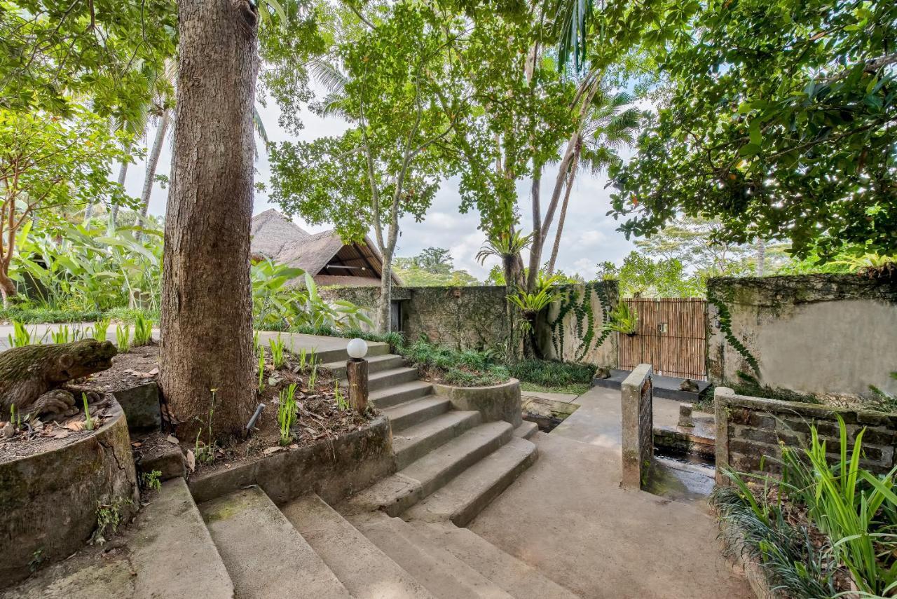 Villa Kelusa Ubud Zewnętrze zdjęcie