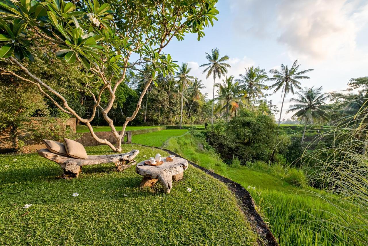 Villa Kelusa Ubud Zewnętrze zdjęcie